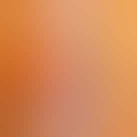 Apricot | Infused Pre-Roll | 1G