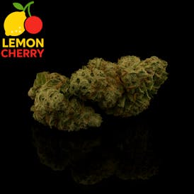 FLOWER LEMON CHERRY GELATO
