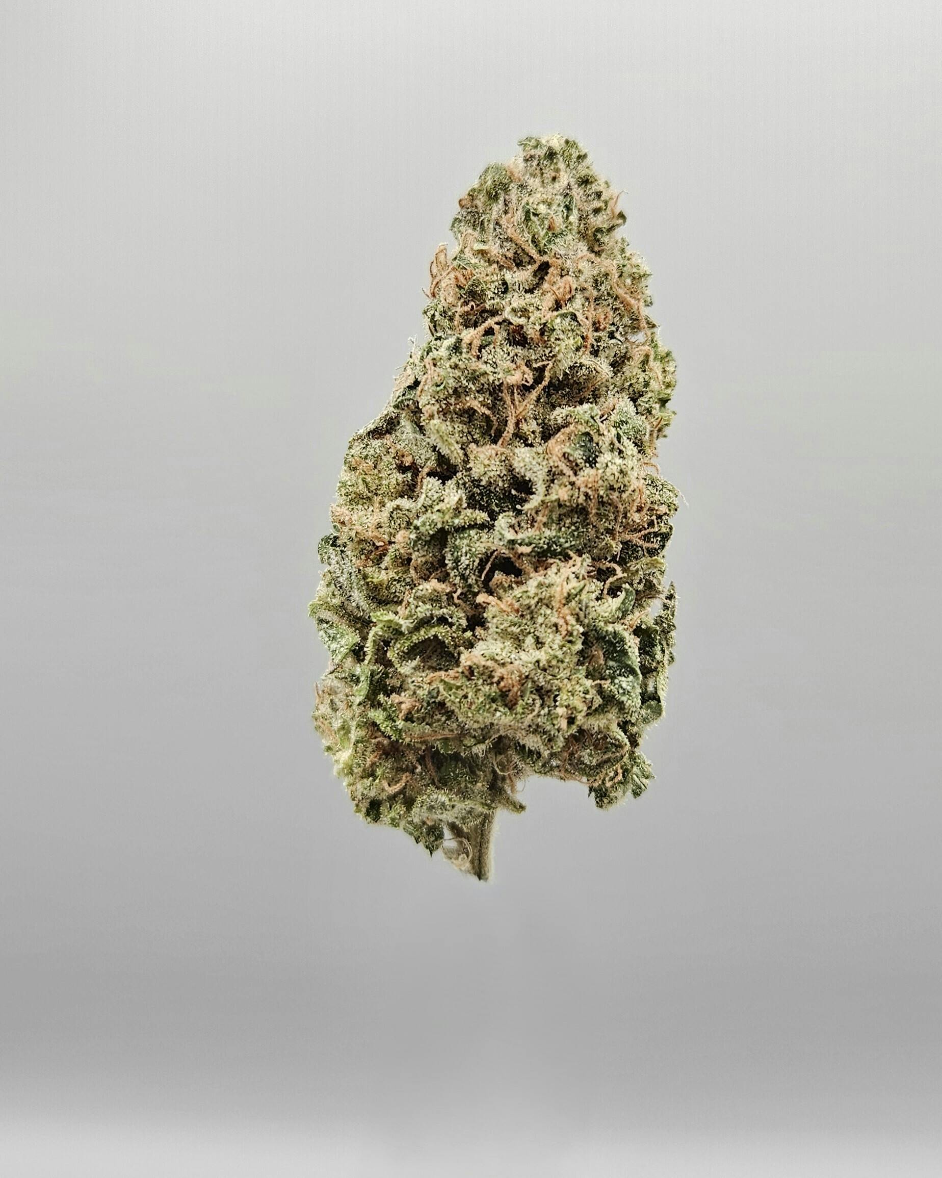 Flower - Tier 1 - Papaya Juice by Ripple Wellness