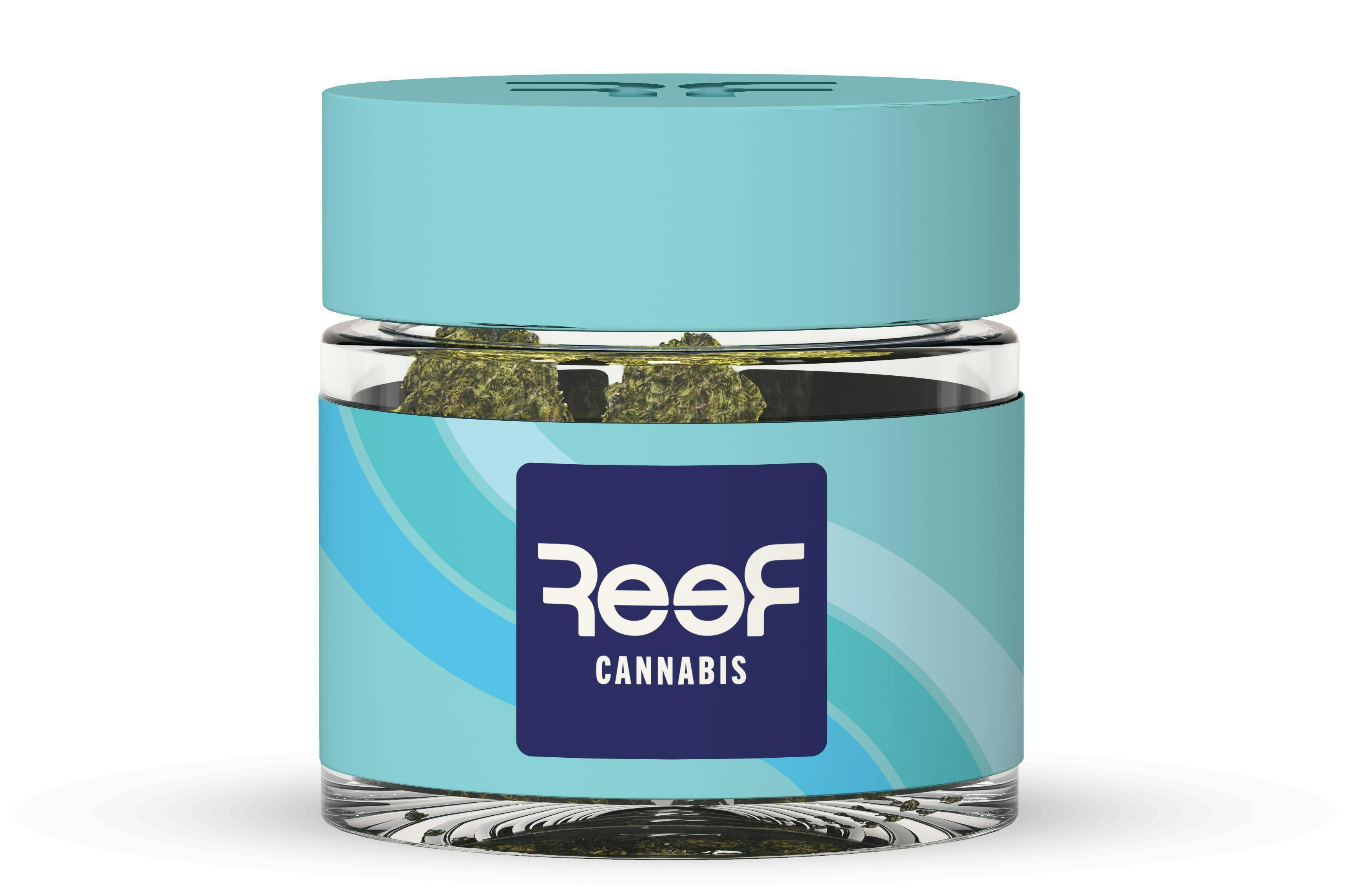 Daybreak Delight Small Buds