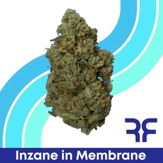 Inzane In The Membrane Whole