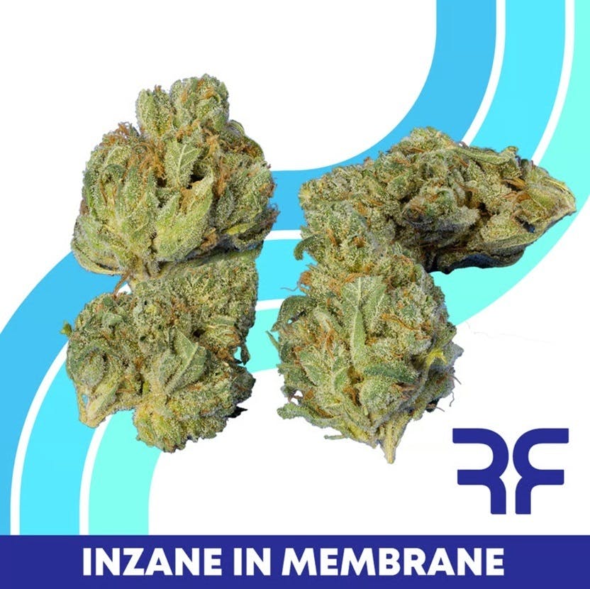 Inzane in the Membrane Small Buds