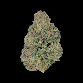 Caleta Flower | Blueberry Pie