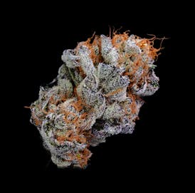 Premium Flower | The Soap