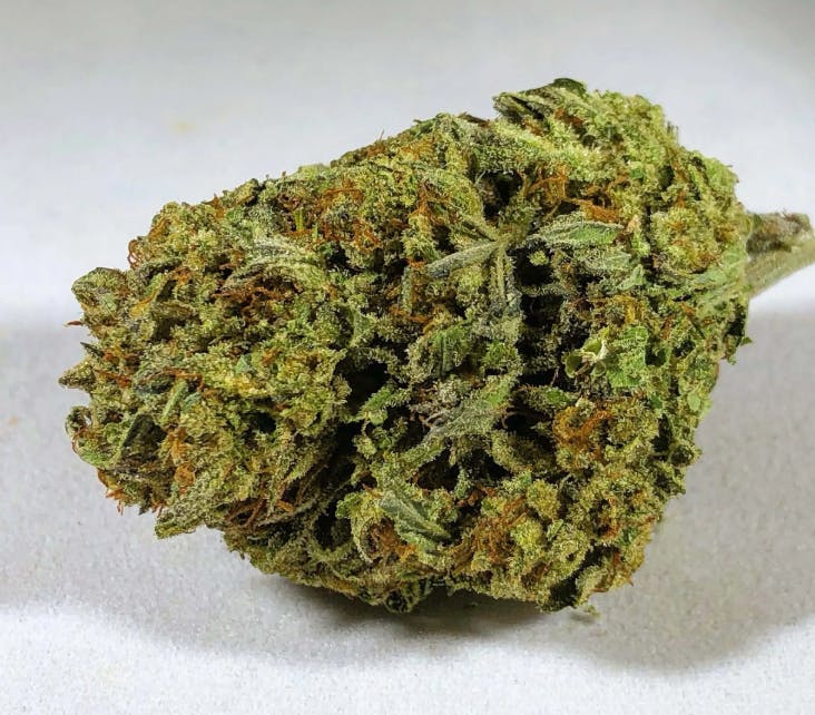 Monster Cookies (Indica) - Premium Flower - 1oz. 28g. - Magic Brothers