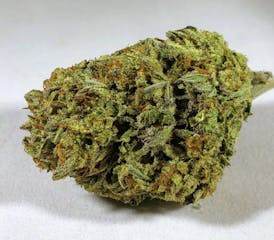 Monster Cookies (Indica) - Premium Flower - 1oz. 28g.