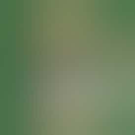 Citrus Paradise - 1G Live Hash Rosin x Yooper Crew & Wise Guys