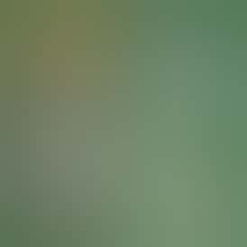 Death Coast - 1G Live Hash Rosin x NLG