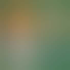 Ice Cream Banana Dog - 1G Live Hash Rosin