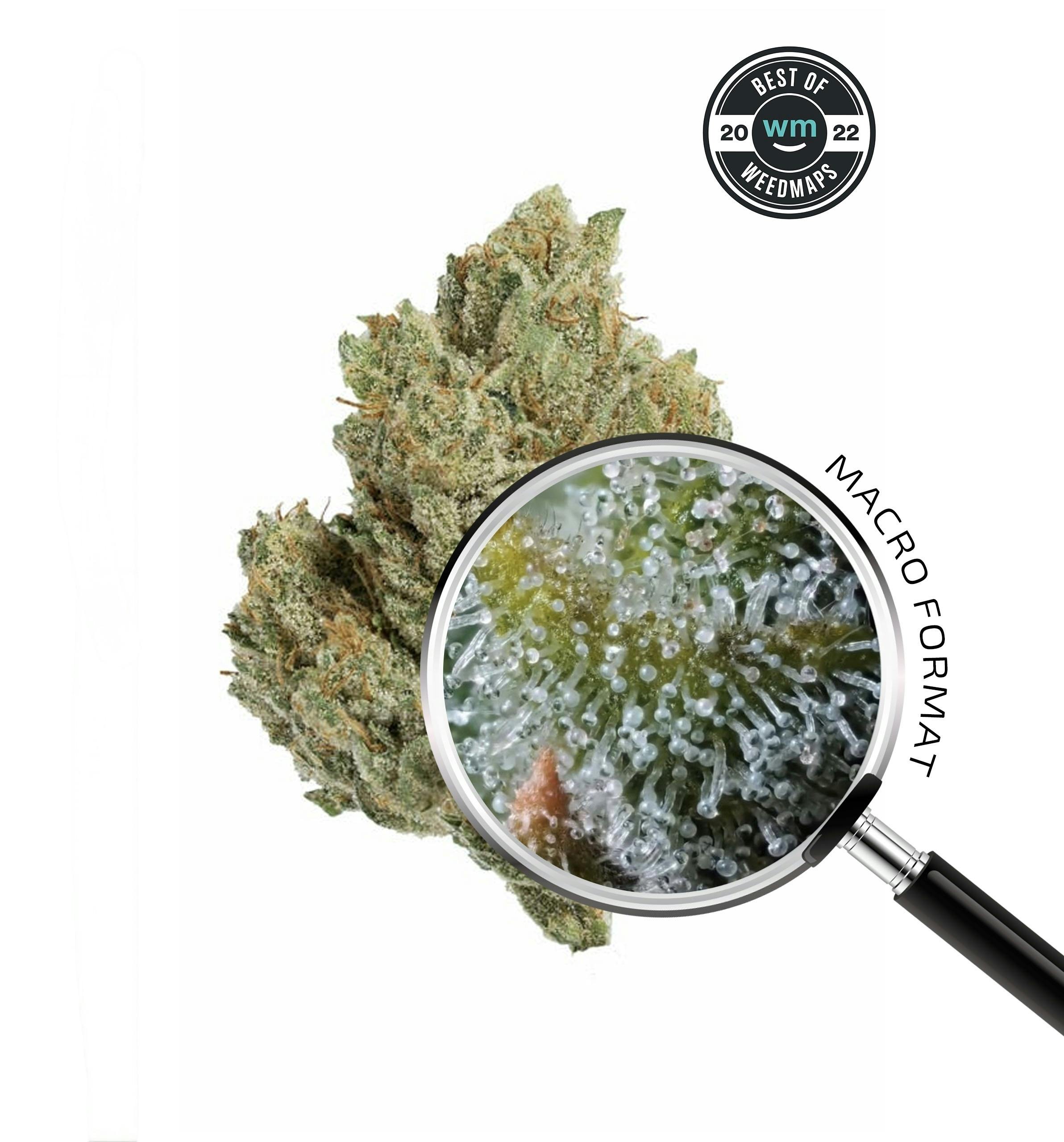 RAINBOW ZANGRIA (INDICA) — 3.54g Premium Flower