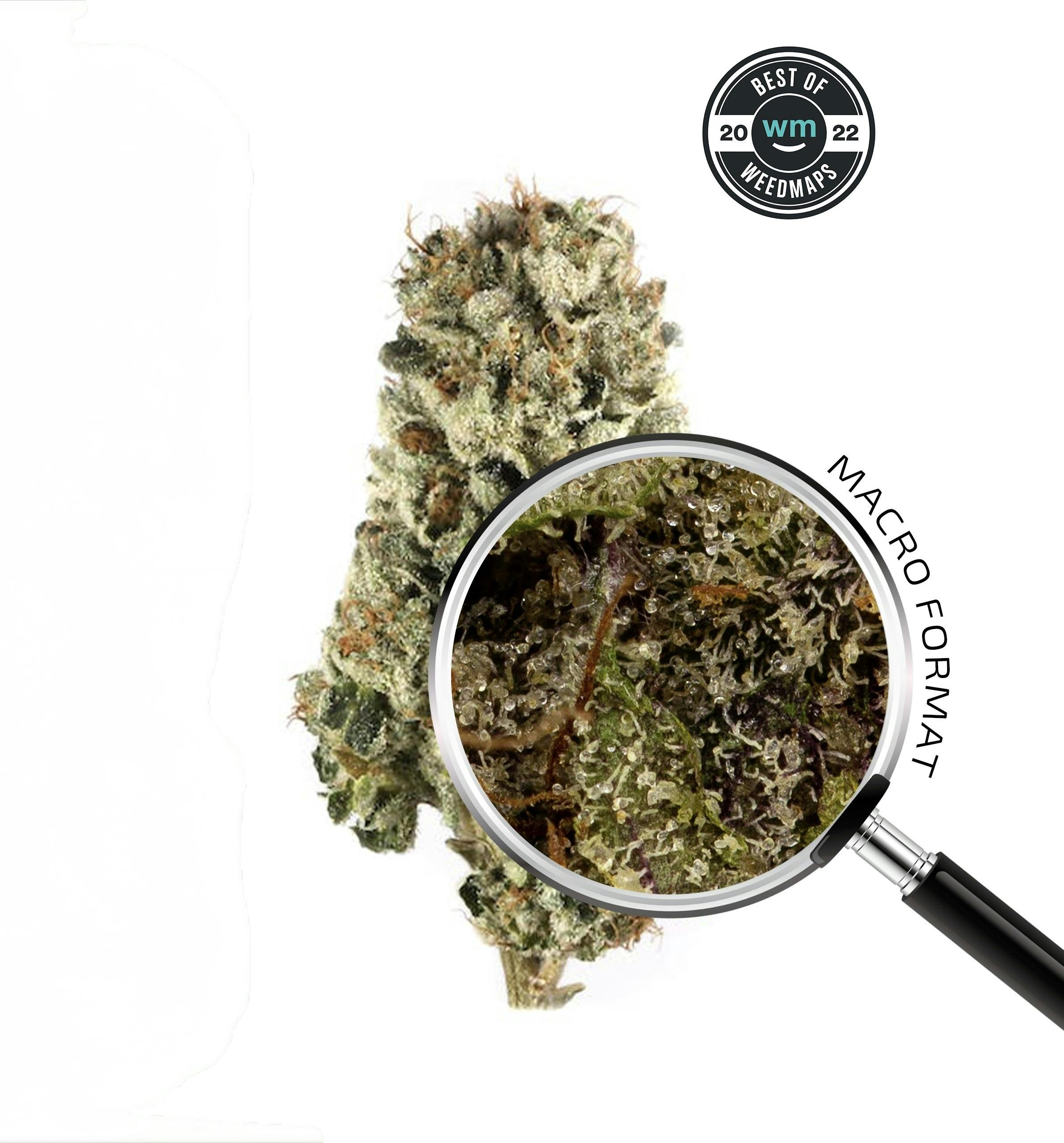 CANDY FUMEZ (INDICA) — 3.54g Premium Flower