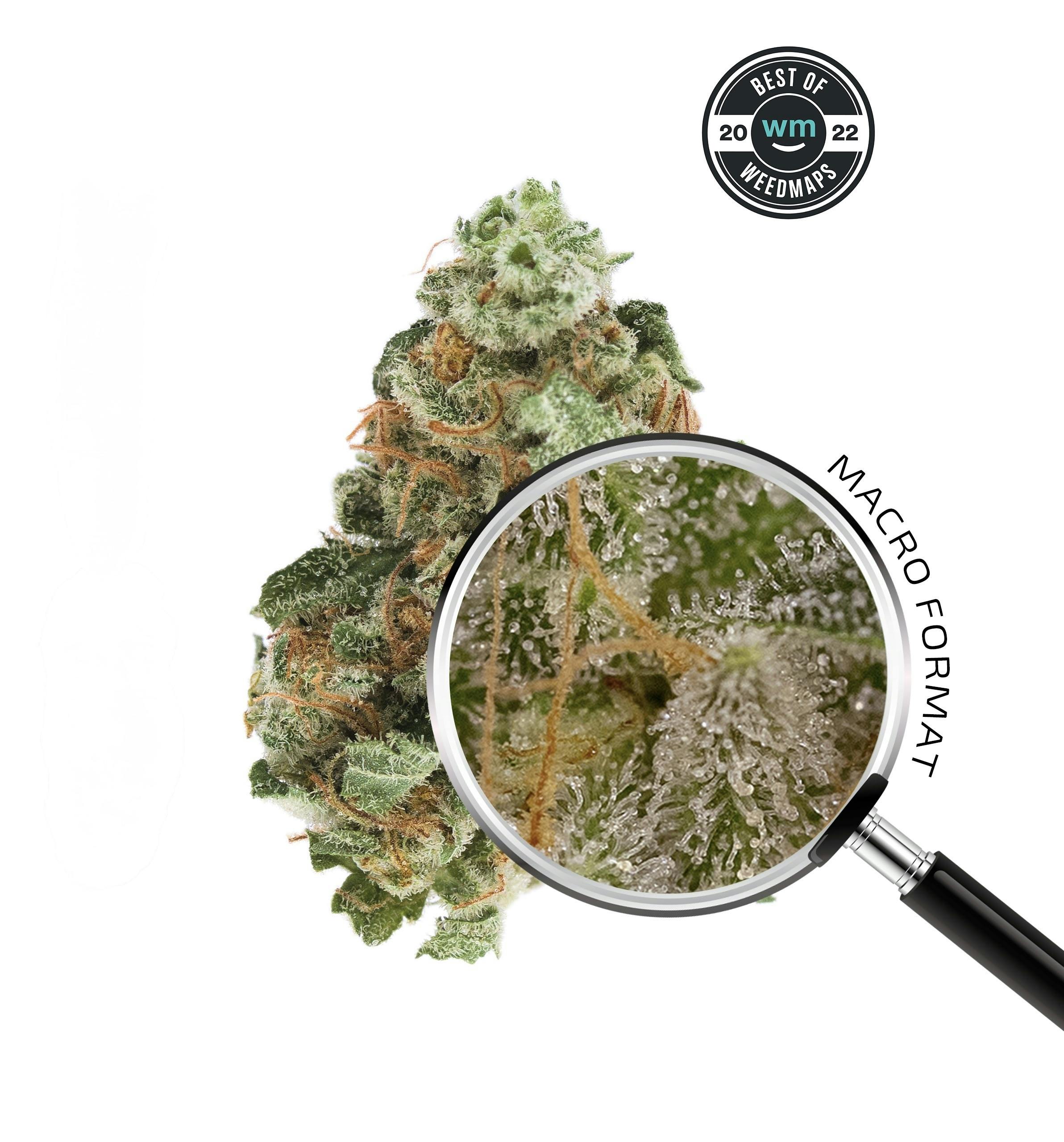 STUFFED CHERRY GELATO (Hybrid) — 3.54g Premium Flower