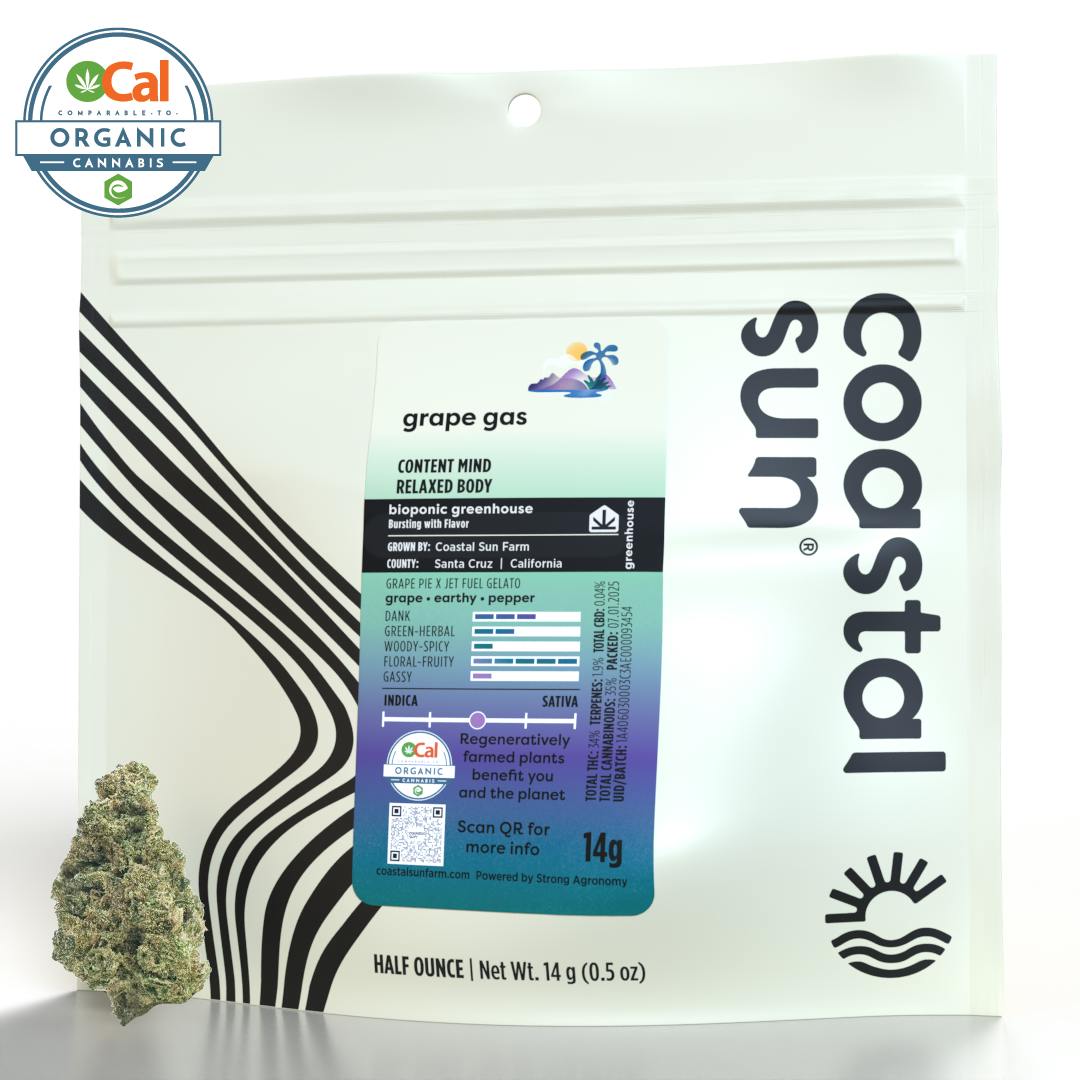 Coastal Sun: Grape Gas