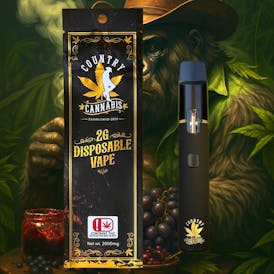 Dankberry Jam | Disposable Vape | 2G