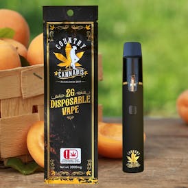 White Apricot | Disposable Vape | 2G