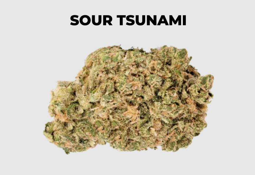 NEA Fire | Sour Tsunami | Flower | 3.5G at The Piping Plover: Recreational Cannabis Dispensary Wellfleet, Cape Cod