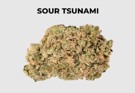 NEA Fire | Sour Tsunami | Flower | 3.5G