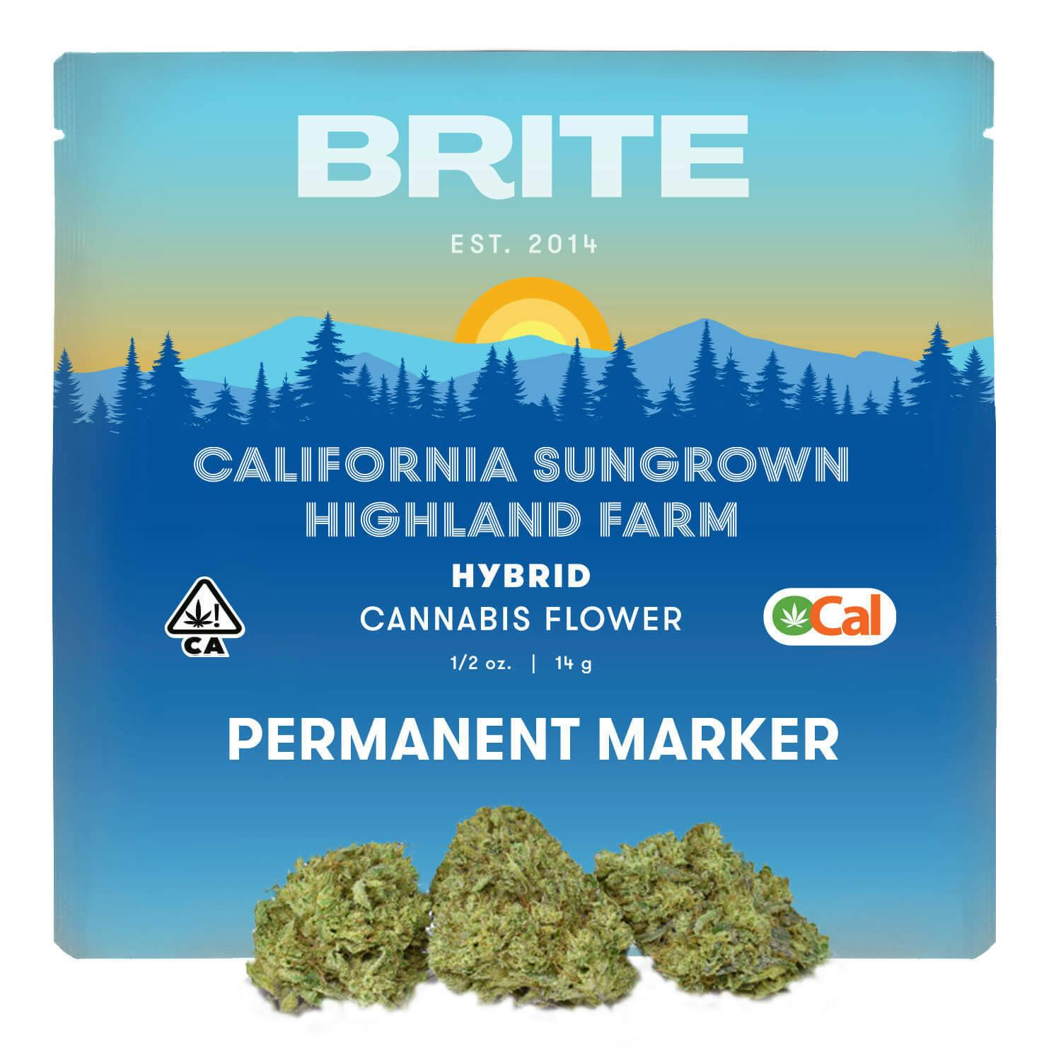 Highland Ocal Flower Hybrid Permanent