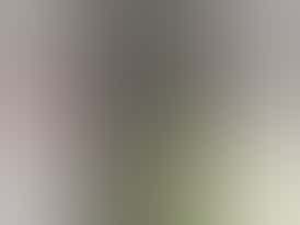 Disposable | Distillate | Live Terps | Indica | Cherry Kush | 3g