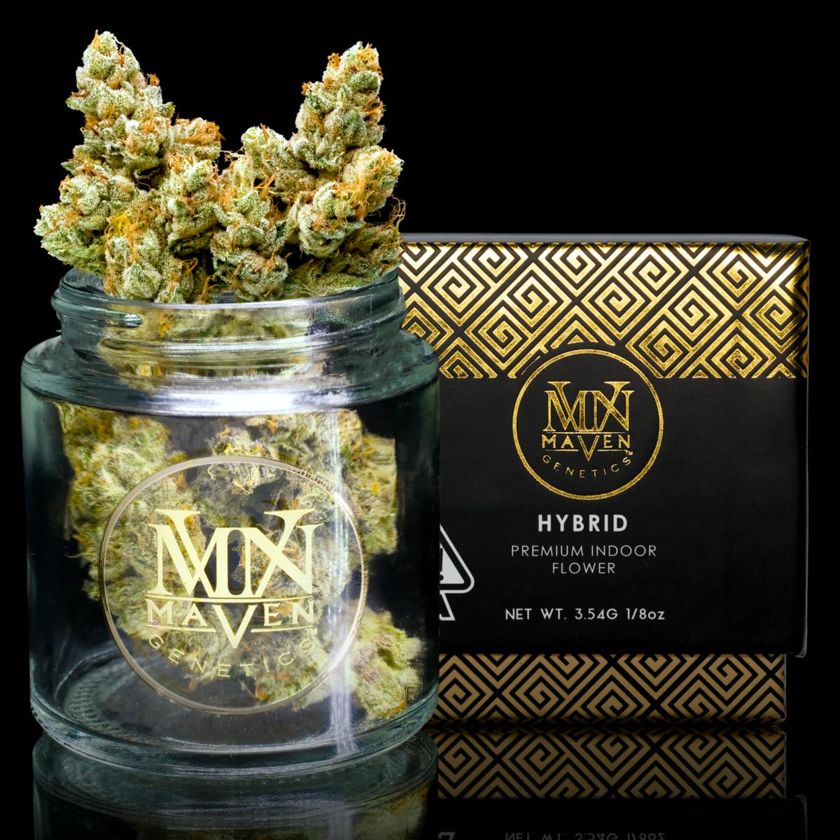 Maven Genetics — SFV OG