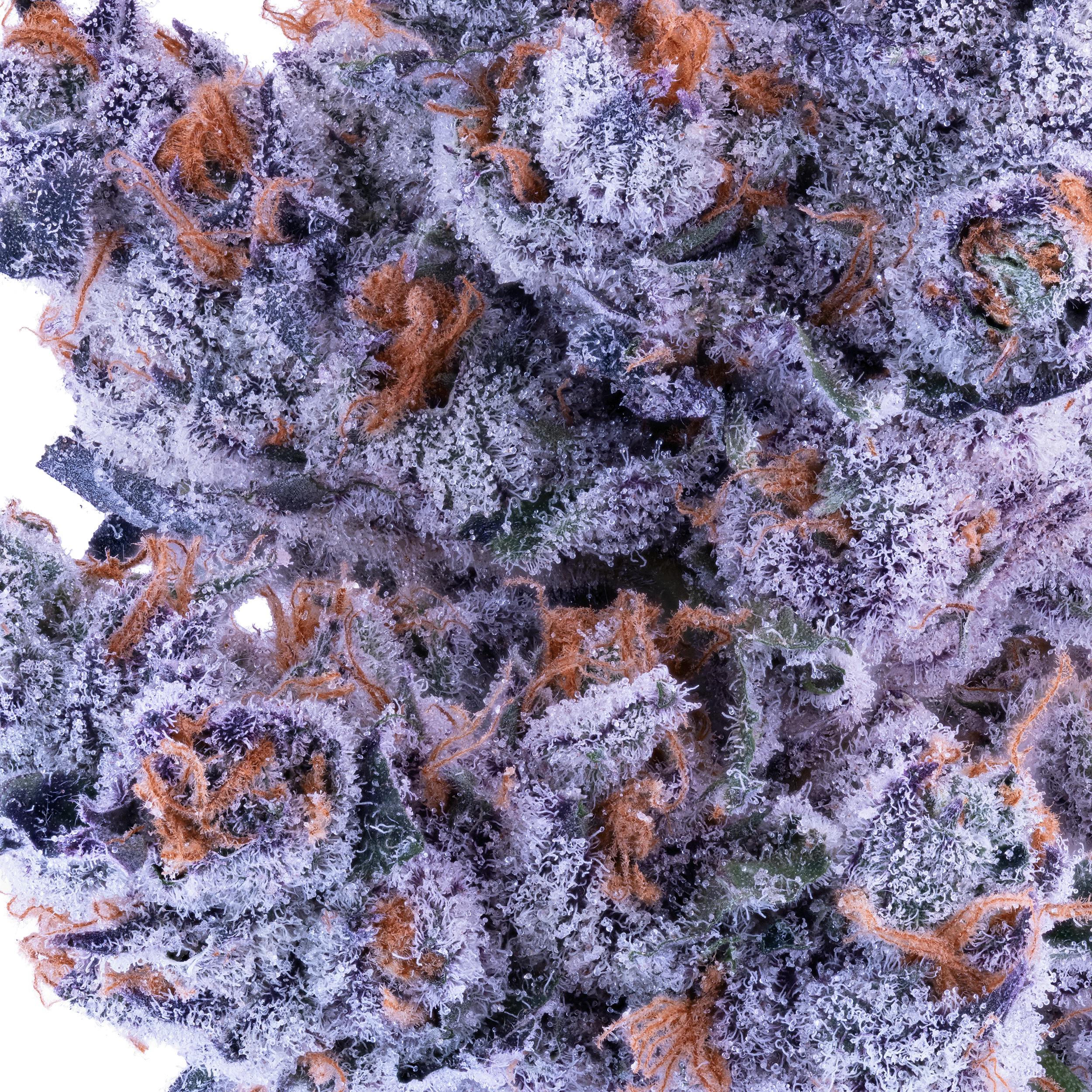 Lumpy's Flowers — Strawberry Peels