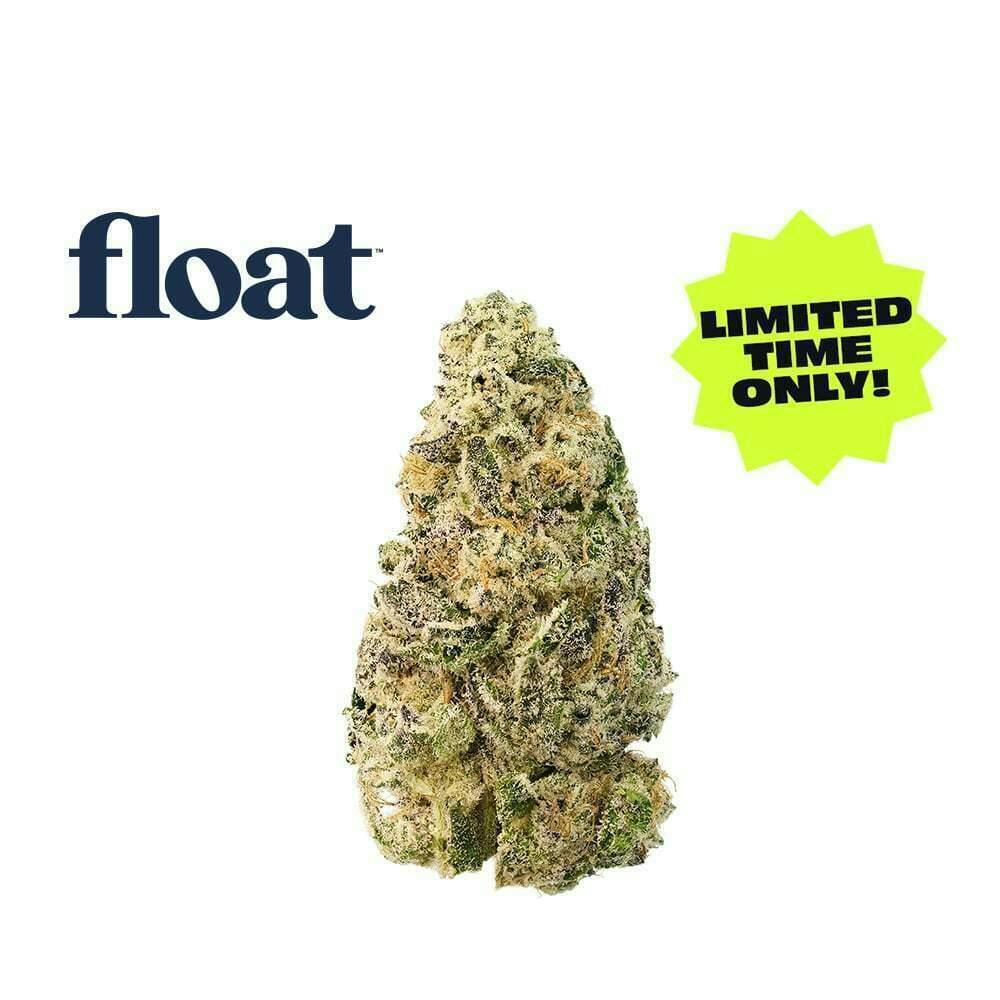 Float - Mocha Popz Flower 3.5g at Surterra Wellness