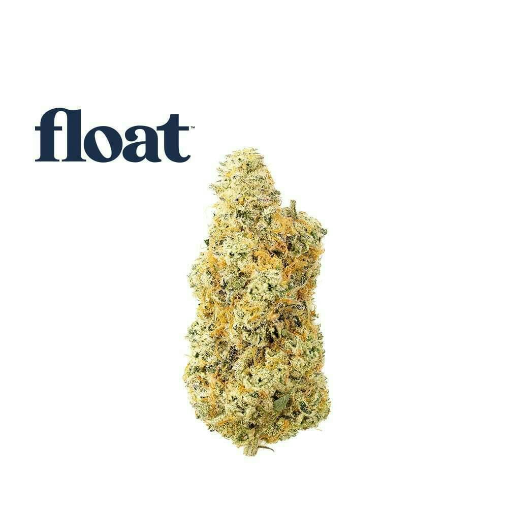 Float - Deluxe Sugar Cane Flower 3.5g by Float