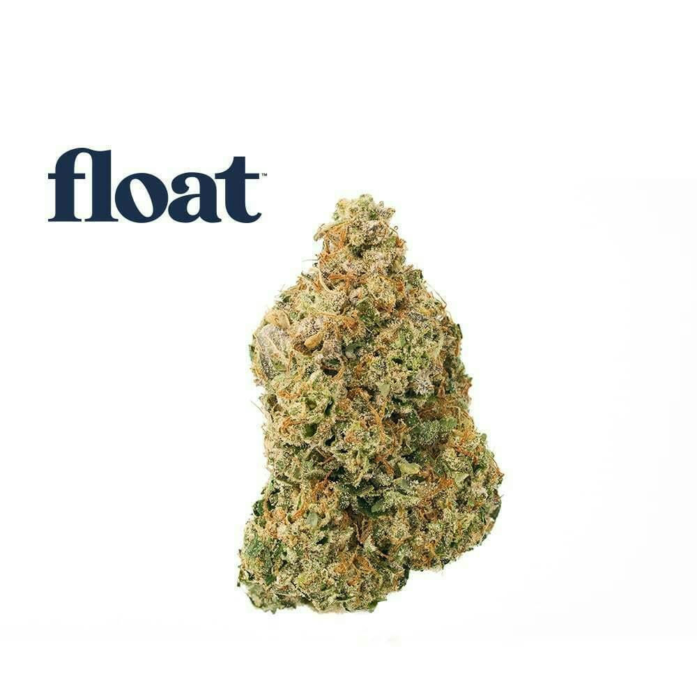 Float - Motor Breath x Mike Larry Flower 3.5g by Float
