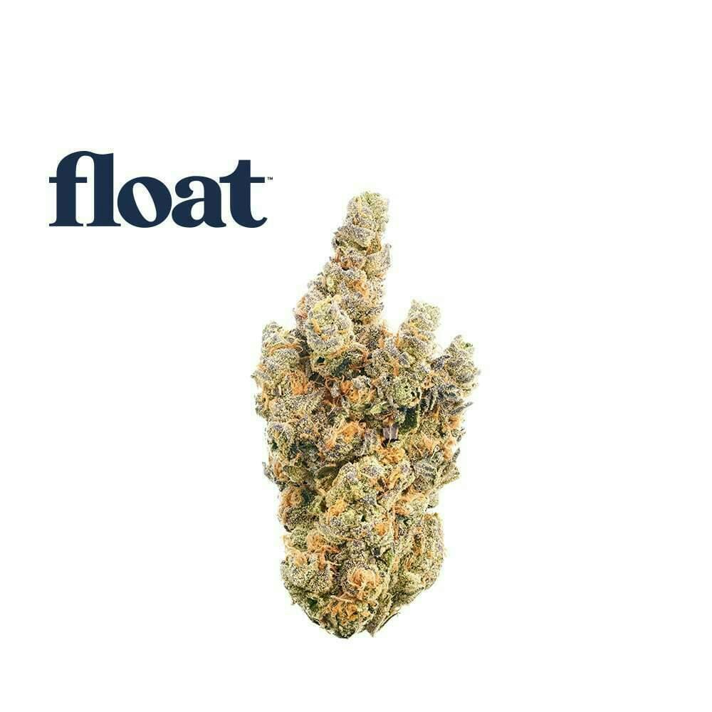 Float - Gaspar's Grapes Flower 3.5g