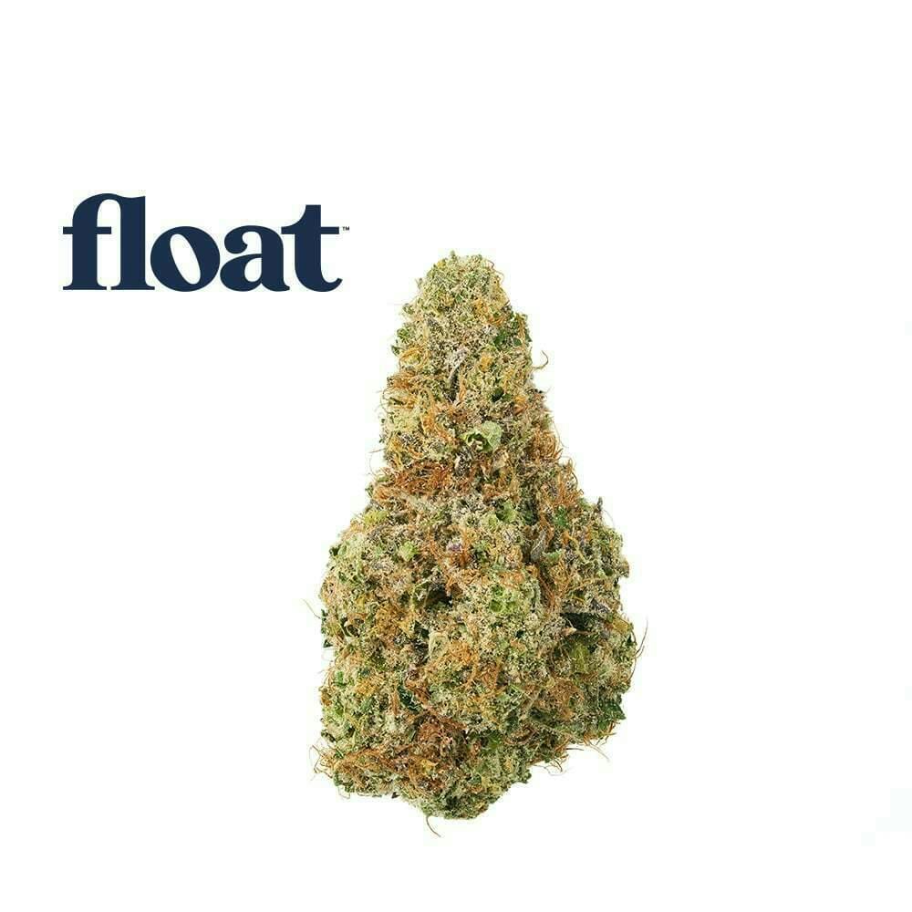 Float - Top Gear Flower 3.5g by Float