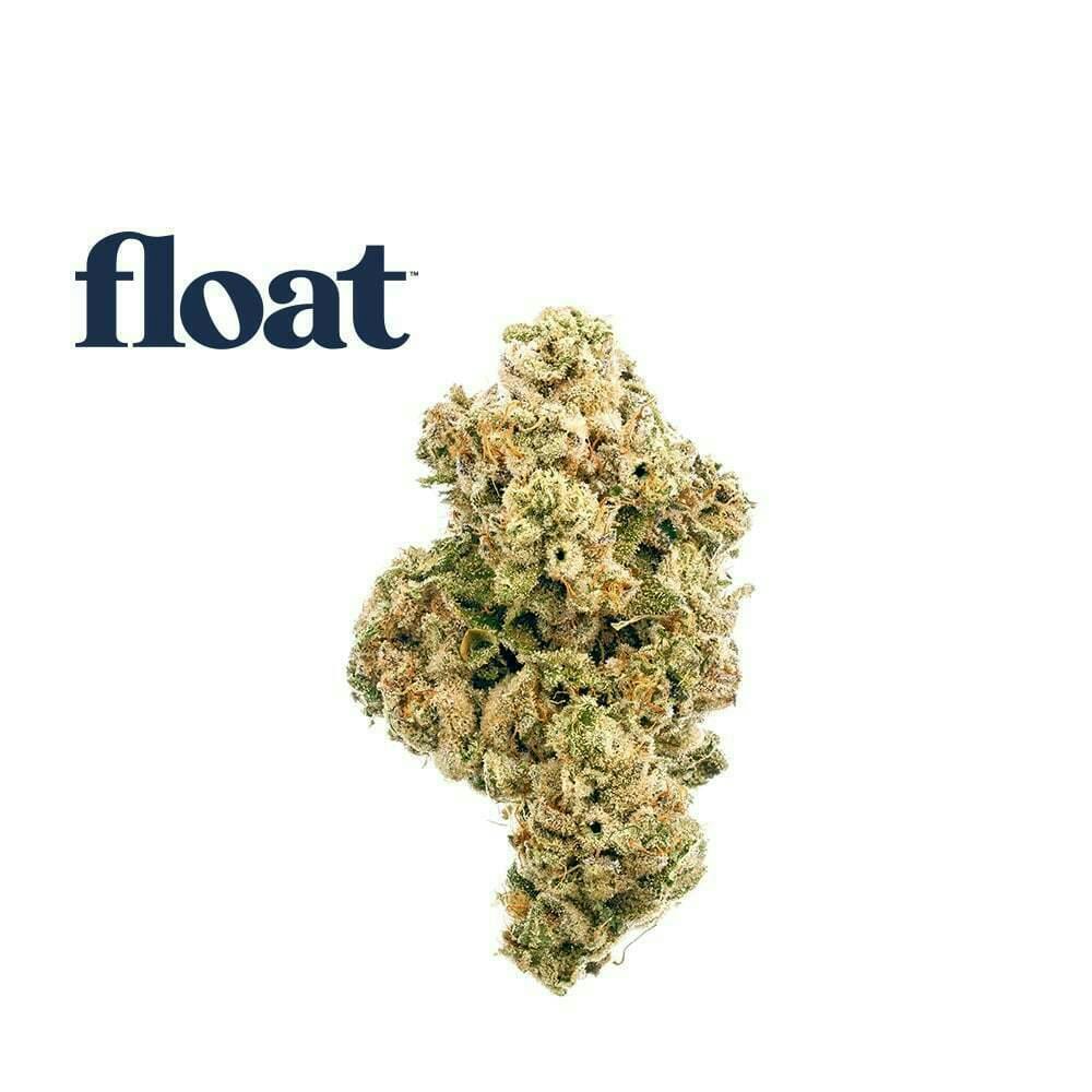 Float - Animal Larry Flower 3.5g by Float