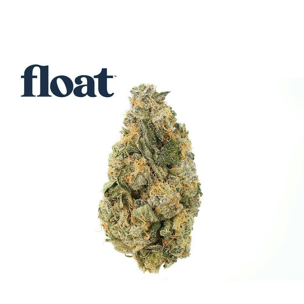 Float - Jelly Sea Flower 3.5g by Float