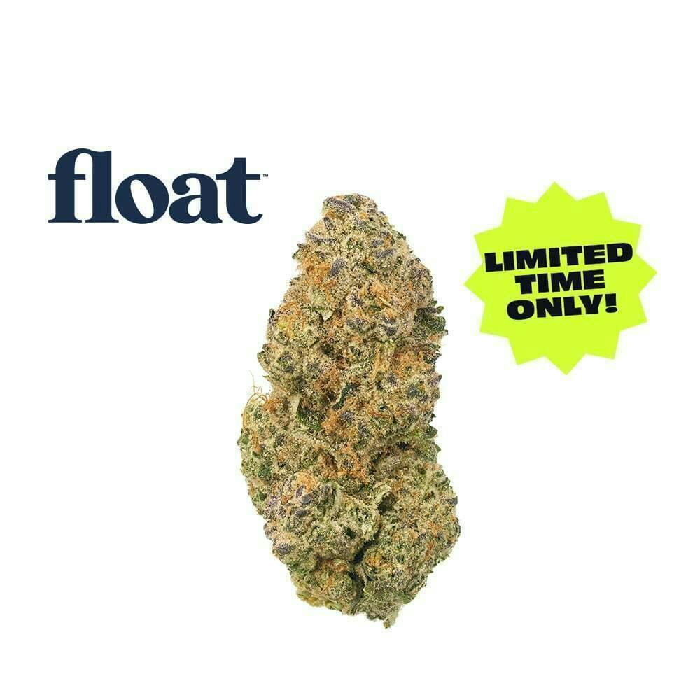 Float - Dulce De Fresa Flower 3.5g - Float