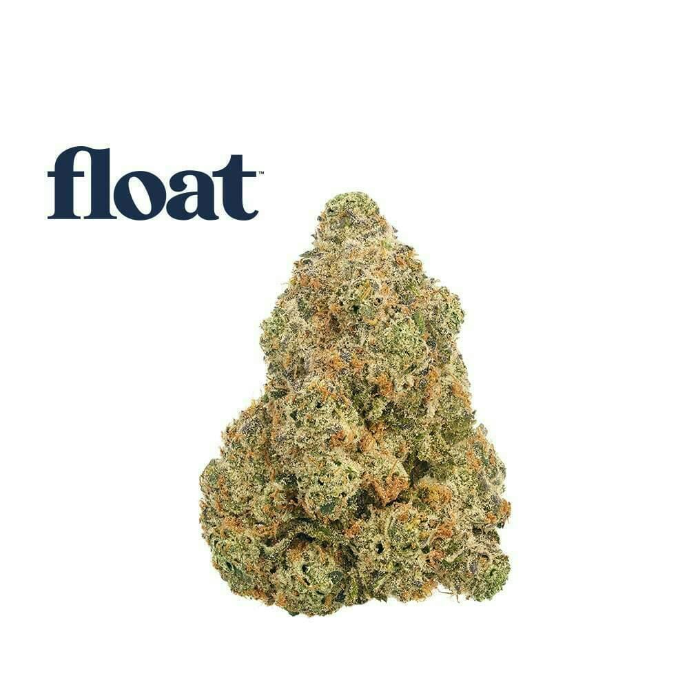 Float - White Hot Guava 14 x Black Velvet Flower 3.5g at Surterra Wellness