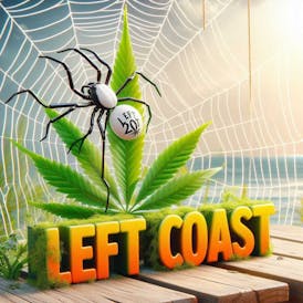 Left Coast | White Widow | 3.5g Flower