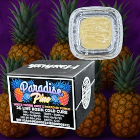 Paradise Pine 2g Live Rosin