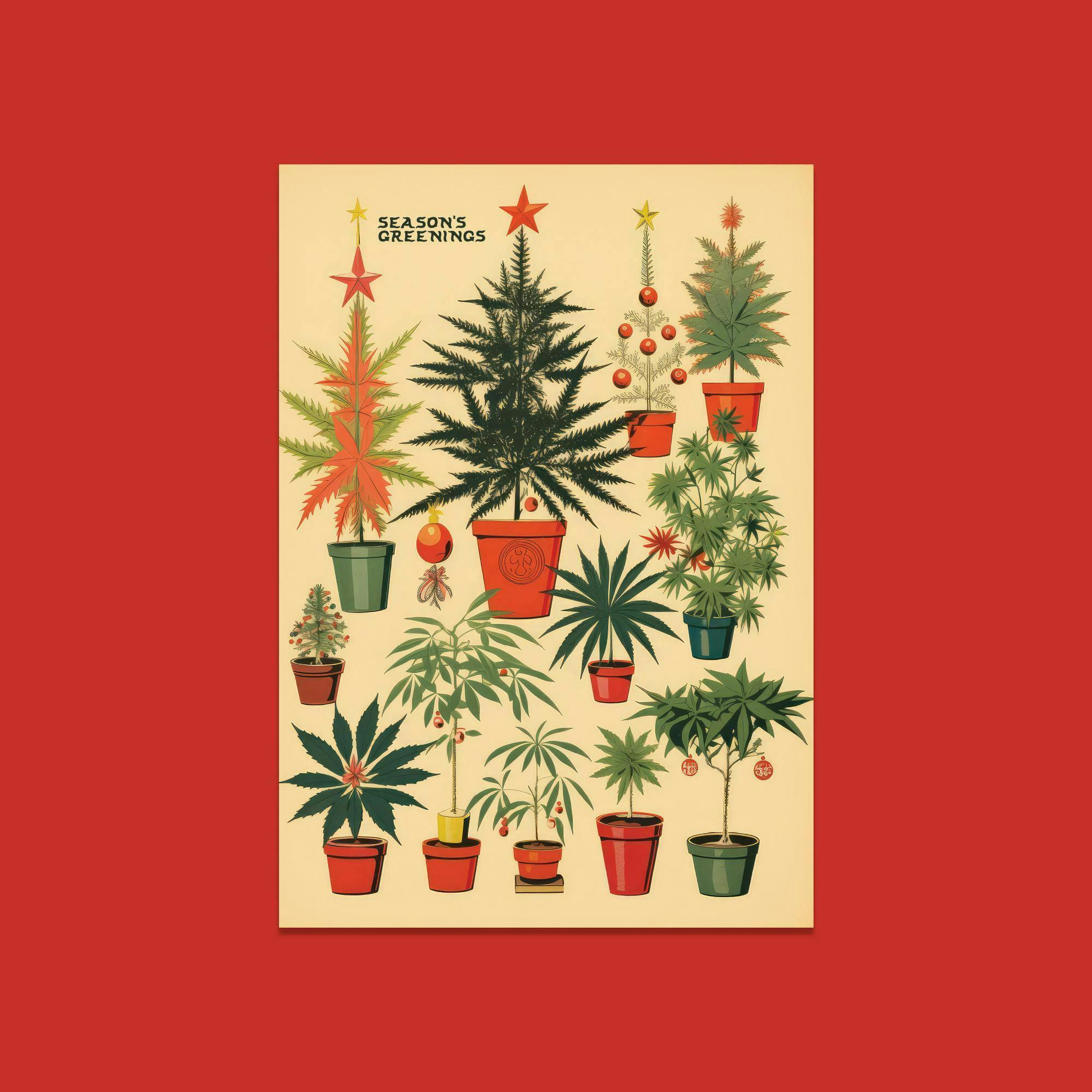 EMBARC SEASON'S GREENINGS HOLIDAY CARD