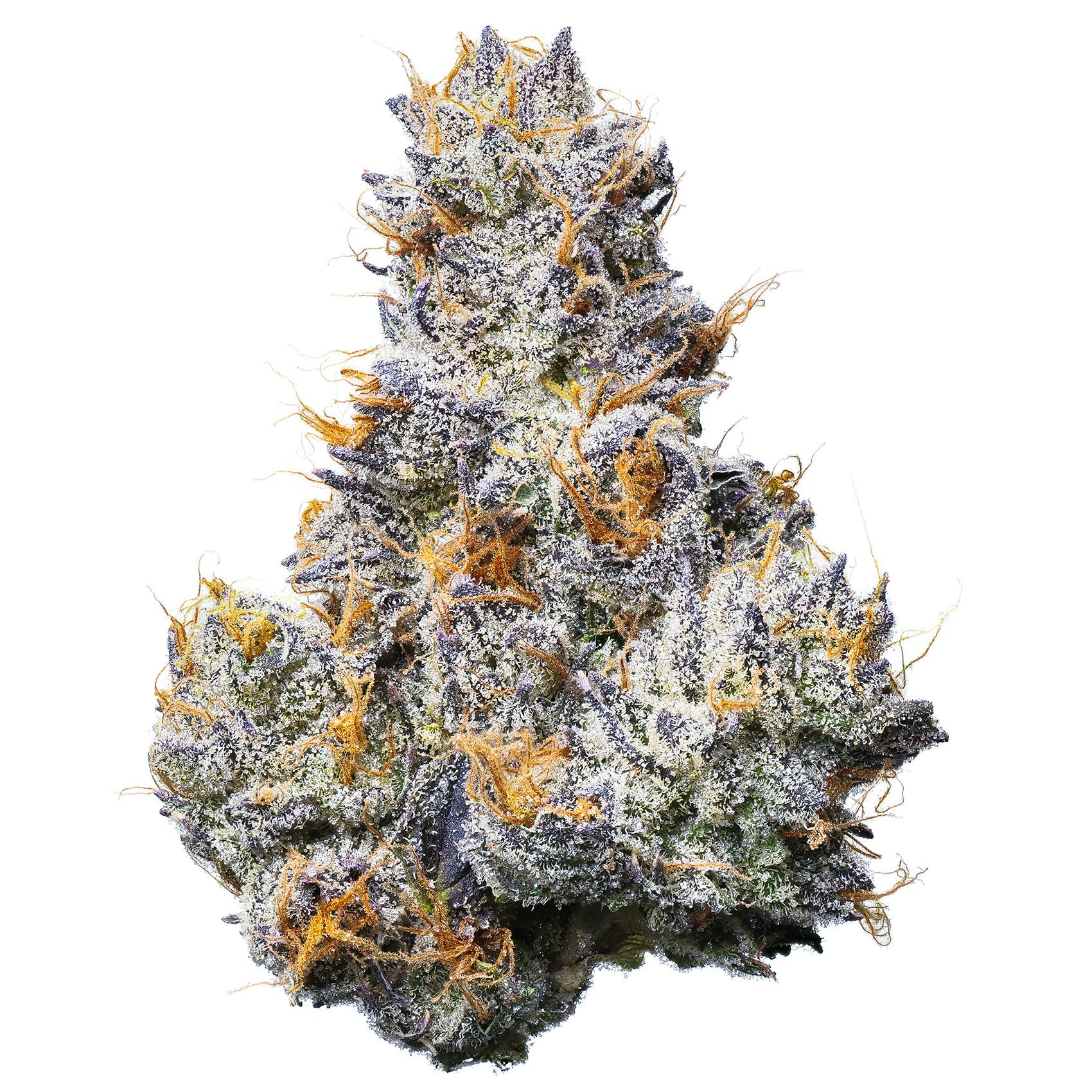 Fig Farms: Trixxx - Big Buds