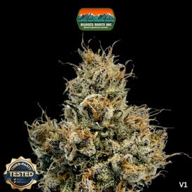 Rugged Roots | Bolo Runtz 3.5g