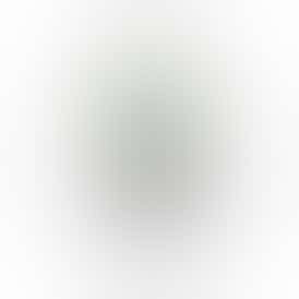 The Cure Company Flower - Alien OG - 3.5g Smalls