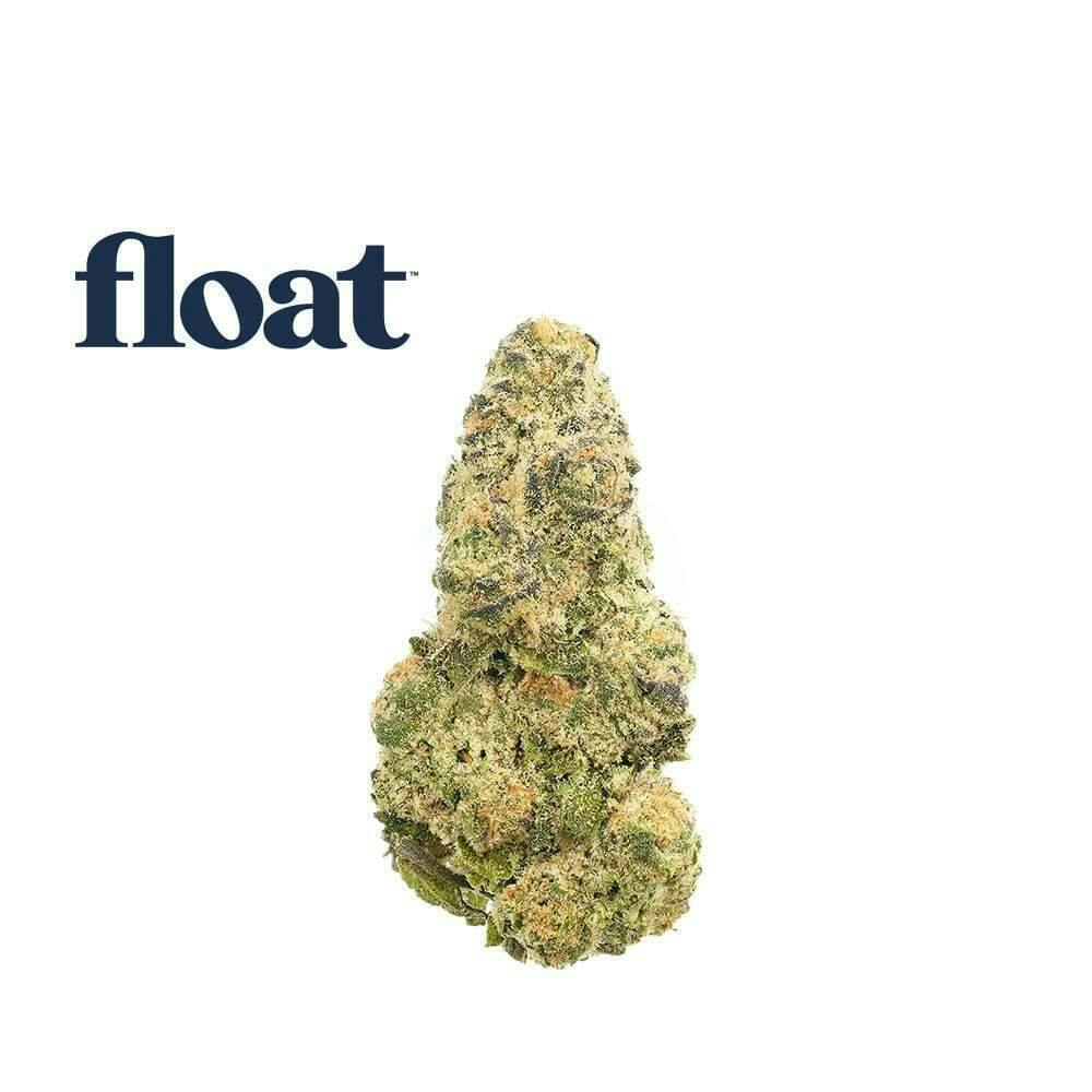 Float - Space Case Flower 3.5g by Float