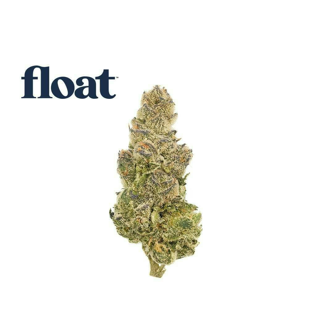 Float - Florida Frost Point Flower 3.5g at Surterra Wellness