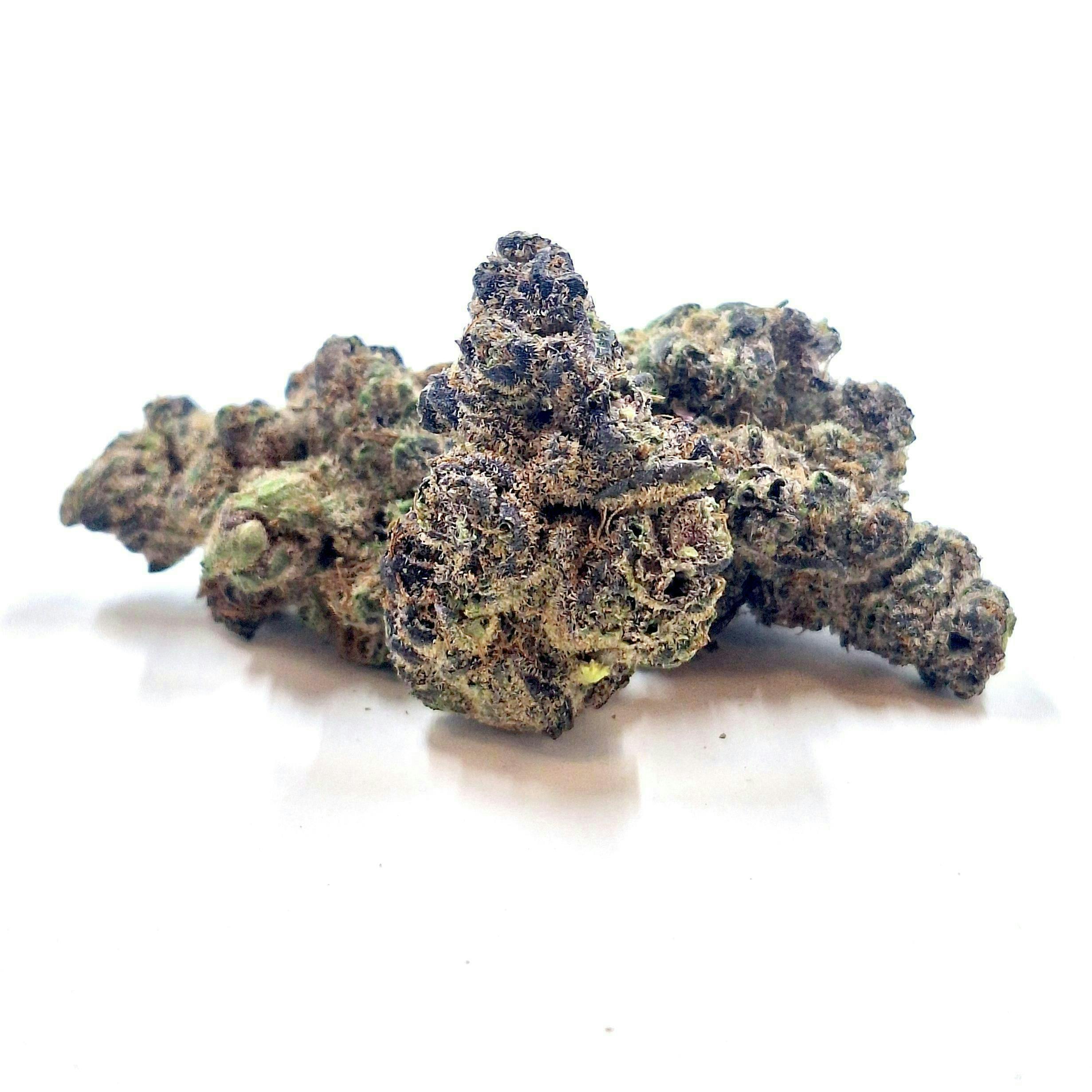 LaHaze | Aurora Borealis | Big Buds by LaHaze Cannabis
