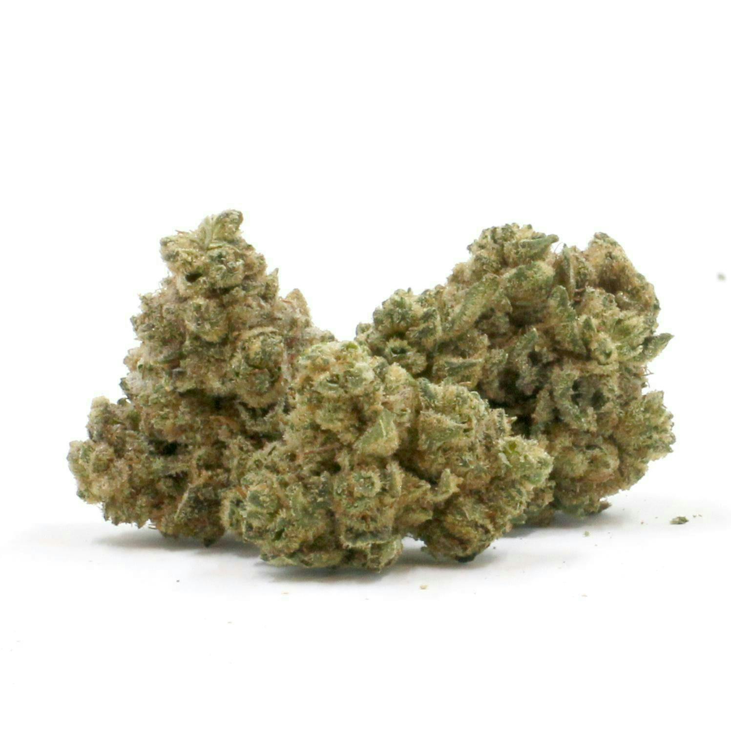 Lemon Fresh Big Buds