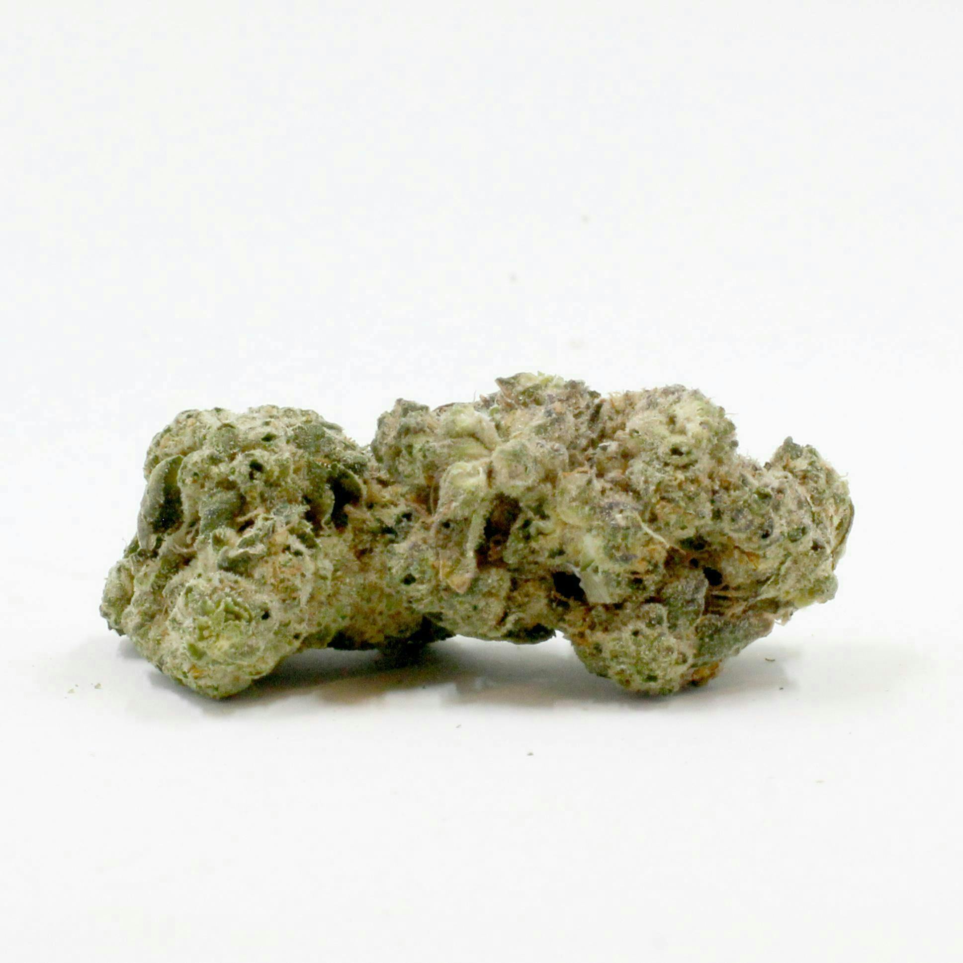 Cheddar Cheeze Big Buds