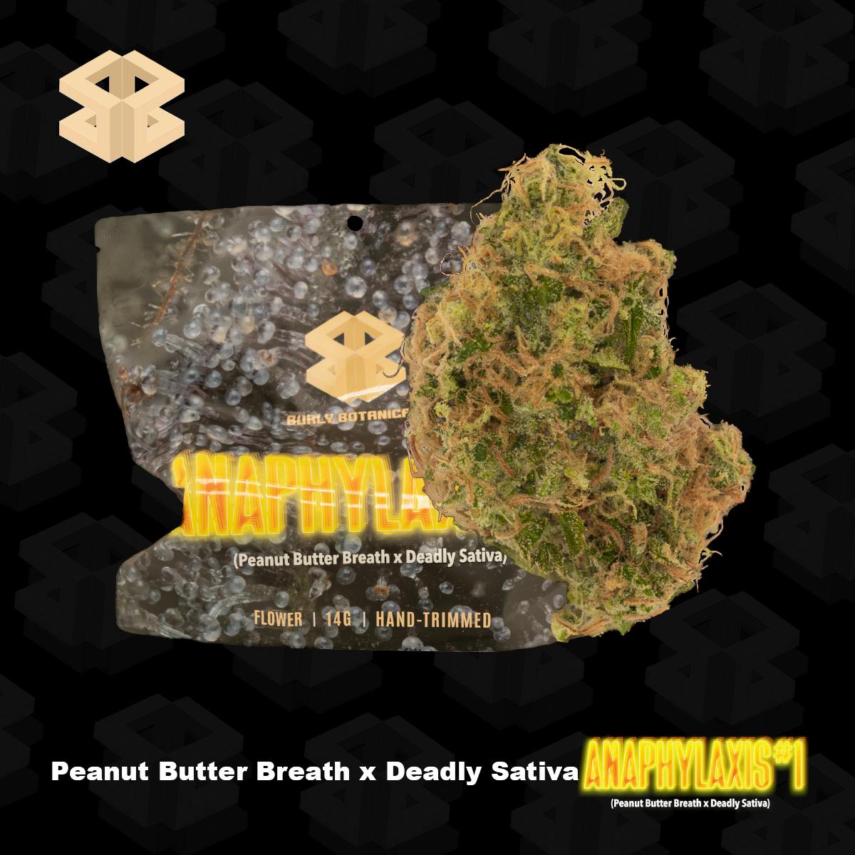 Burly Botanicals | Anaphylaxis #1 | 14g | Pre-Pack