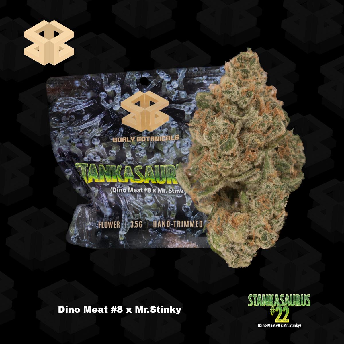 Burly Botanicals | Stankasarus #22 | 3.5g | Pre-Pack
