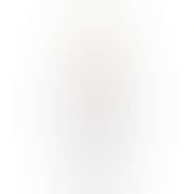 Burly Botanicals | Chocolate Rolex #21 | 0.5g Hash Rosin Disposable