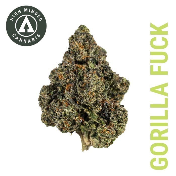 Gorilla Fuck - Platinum Tier by High Minded