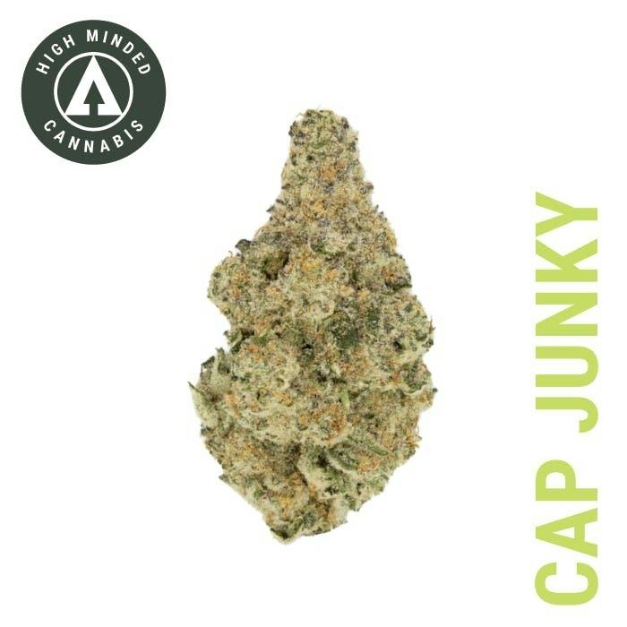 Cap Junky - Diamond Tier by High Minded